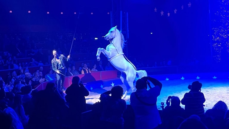 Popular Weltweihnachtszirkus Stgt., 28.12.22, 19.30 ermäßigt