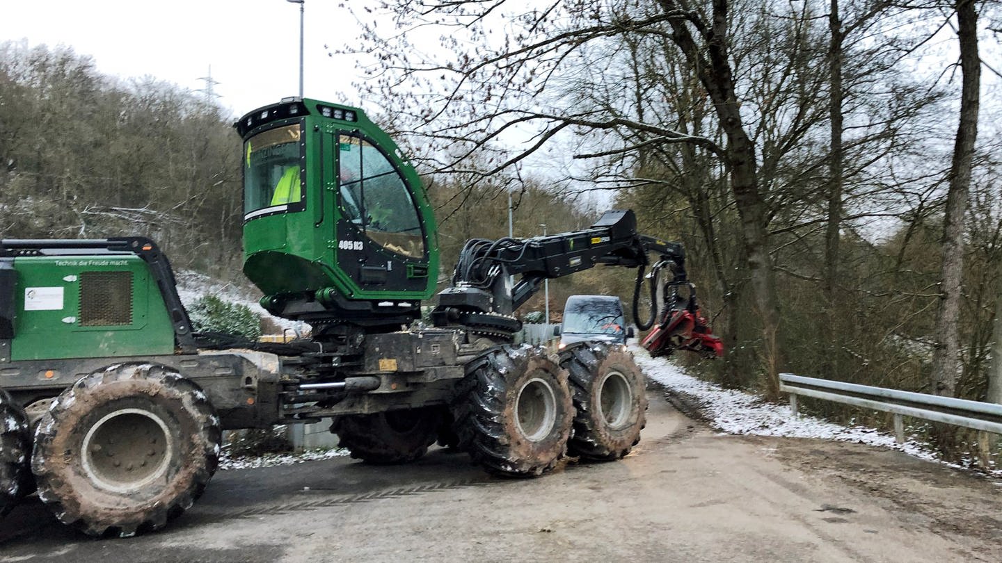Baumfällarbeiten am Remstal-Radweg: Zu sehen ist ein Harvester, ein Fahrzeug, das Bäume fällt und hinlegt.