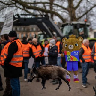 Collage: Im Wochenrückblick des SWR Studio Stuttgart geht es diese Woche um den Bauernprotest, Wildschweine, die UEFA EURO 2024 und vieles mehr.