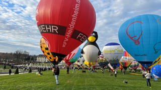 81 Modellballone standen im Blühenden Barock im der Luft. Das ist ein neuer Weltrekord!