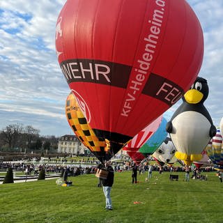 81 Modellballone standen im Blühenden Barock im der Luft. Das ist ein neuer Weltrekord!