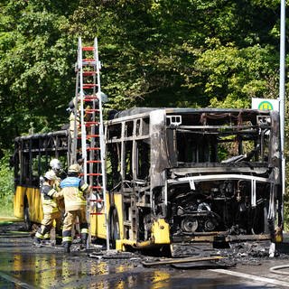 Ein ausgebrannter Linienbus der SSB im Stuttgarter Stadtteil Lederberg: Das Fahrzeug hatte wohl wegen eines technischen Defekts Feuer gefangen.