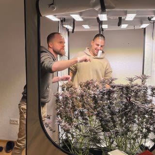 Tim aus Stuttgart hat mit Cannabis den Entzug von Koks und Alkohol geschafft.