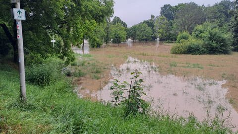 Das Hochwasser im Neckar in Ludwigsburg-Hoheneck. Die Polizei sagt, die Lage sei "gleichbleibend angspannt".