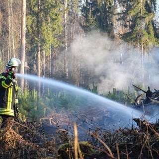 Ein Feuerwehrmann löscht einen Waldbrand. Die Waldbrandgefahr ist derzeit in Teilen Baden-Württembergs laut DWD auf der zweit höchsten Stufe.