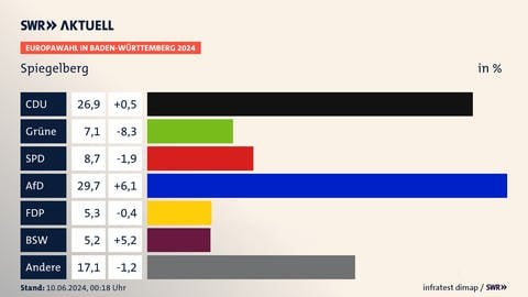 Das Diagramm zeigt die Wahlergebnisse für Spiegelberg bei der Europawahl 2024.