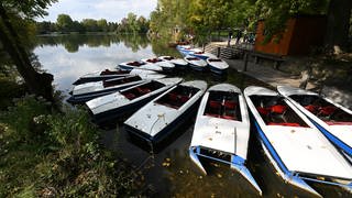 Bootsverleih auf dem Monrepos-See in Ludwigsburg