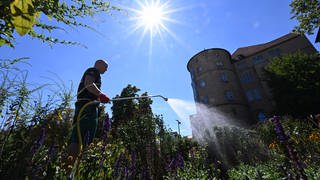 Bei großer Hitze, blauem Himmel und Sonnenschein in Stuttgart am Alten Schloss gießt ein Stadtgärtner ein Beet: Bei heißem Wetter könnte es wegen des Klimawandels immer ungemütlicher werden in den Städetn in der Region.