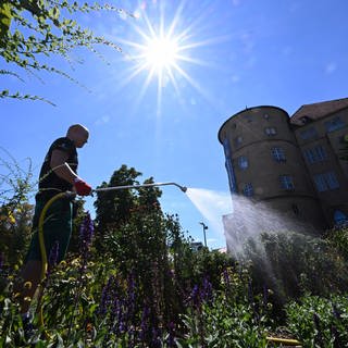 Bei großer Hitze, blauem Himmel und Sonnenschein in Stuttgart am Alten Schloss gießt ein Stadtgärtner ein Beet: Bei heißem Wetter könnte es wegen des Klimawandels immer ungemütlicher werden in den Städetn in der Region.