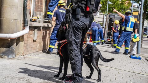 Kräfte von Polizei und THW im Einsatz - In einer Pizzeria in Eislingen an der Fils hat es am Samstagmorgen eine Explosion gegeben.