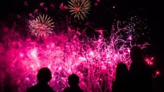 Besucherinnen und Besucher der "Flammenden Sterne" sehen sich im Scharnhauser Park in Ostfildern ein Musikfeuerwerk an.