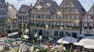 Vor alten Fachwerkhäusern fand in Herrenberg der sogenannte Strandsommer statt. Dafür wurde Sand auf dem Marktplatz aufgeschüttet. 