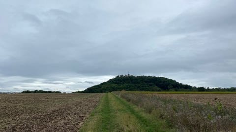 Der Schanzacker vor dem Hohenasperg: Eine BI ist gegen die Bebauung des Grundstücks für eine LEA.