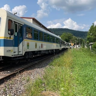 Wieslauftalbahn nach Untwetter 2024