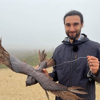 Nico Klar ist Projektleiter beim "BirdRecorder". Das System soll mithilfe von KI Artenschutz und Windkraft unter einen Hut bringen.