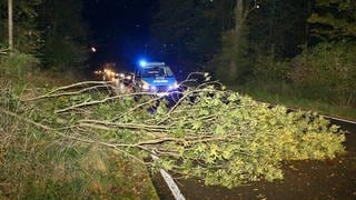 Ein umgestürzter Baum liegt auf der Straße - Sturmtief "Kirk" hat auch Auswirkungen auf den Kreis Ludwigsburg.