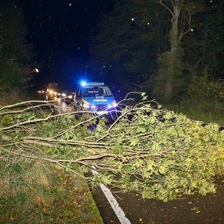 Ein umgestürzter Baum liegt auf der Straße - Sturmtief "Kirk" hat auch Auswirkungen auf den Kreis Ludwigsburg.