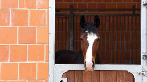 Ein Unbekannter ist bereits zwei Mal in einen Reitstall in Korntal-Münchingen (Kreis Ludwigsburg) eingebrochen. (Symbolbild)