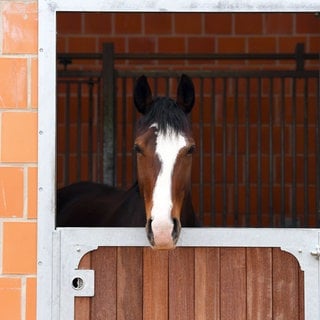 Ein Unbekannter ist bereits zwei Mal in einen Reitstall in Korntal-Münchingen (Kreis Ludwigsburg) eingebrochen. (Symbolbild)