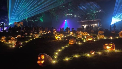 Lichtinstalationen der Leuchtenden Traumpfade im Blühenden Barock in Ludwigsburg