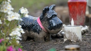 Ein Grab für einen Hund auf einem Tierfriedhof.