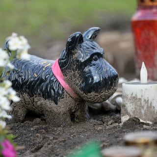 Ein Grab für einen Hund auf einem Tierfriedhof.