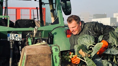 Der Landwirt Thomas Raff trennt mit einer speziellen Maschine die Rosenkohlröschen von ihrem Stiel. Er baut Rosenkohl in der Region Stuttgart an.