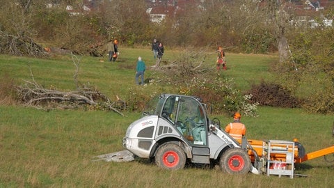 Vollernter auf Streuobstwiese