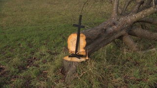 Ein schwarzes Kreuz steht auf dem Baumstumpf eines gefällten Baumes. Anfang der Woche wurden 120 Bäume auf einer Streuobstwiese in Weil der Stadt (Kreis Böblingen) gefällt. Der NABU ist entsetzt und hat vier Tage später eine Protestaktion gestartet.