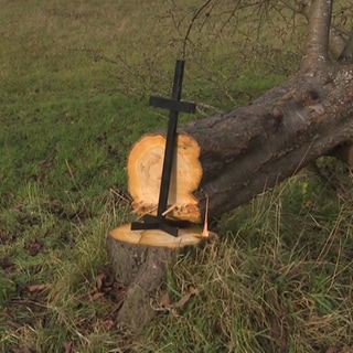 Ein schwarzes Kreuz steht auf dem Baumstumpf eines gefällten Baumes. Anfang der Woche wurden 120 Bäume auf einer Streuobstwiese in Weil der Stadt (Kreis Böblingen) gefällt. Der NABU ist entsetzt und hat vier Tage später eine Protestaktion gestartet.