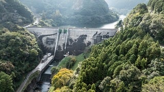 Godzilla auf Damm in Japan