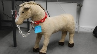 Plüschpferd mit Halsband und Aufschrift "Lilo". Das Kuscheltier wurde auf der B10 gefunden.