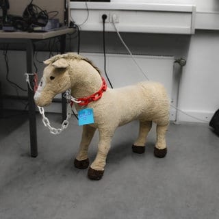 Plüschpferd mit Halsband und Aufschrift "Lilo". Das Kuscheltier wurde auf der B10 gefunden.