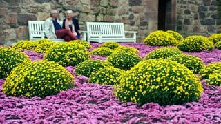 Blumen blühen vor einer Mauer, vor der zwei ältere Menschen sitzen.