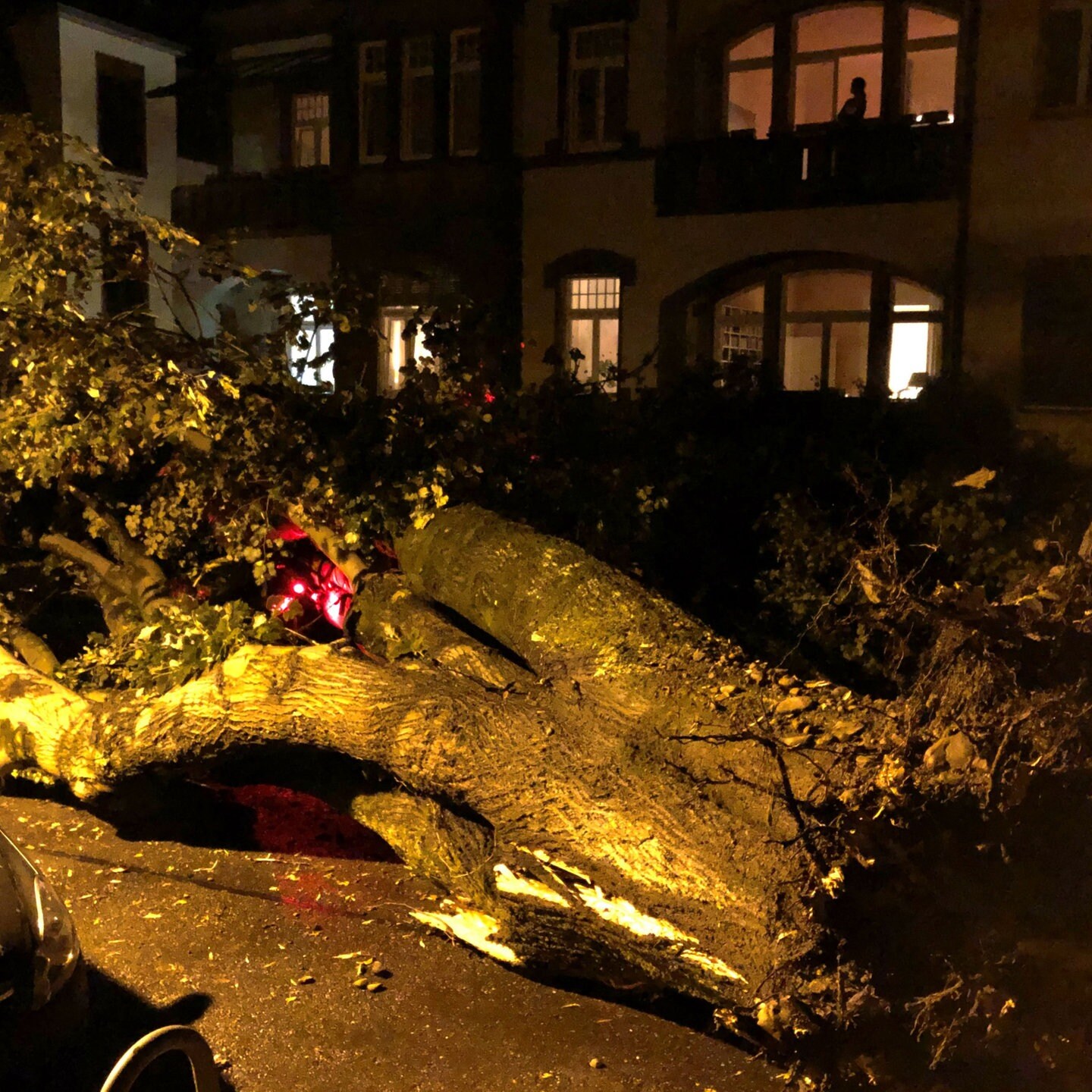 Gewitter Mit Starkregen: Allein In Freiburg 400 Feuerwehreinsätze - SWR ...