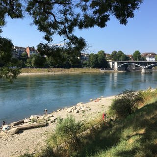 Blick auf den Rhein aus dem Schatten 