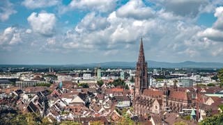 Blick über Freiburg in Richtung Münster