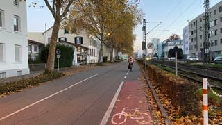 Eine Frau fährt mit ihrem Fahrrad auf einem Fahrradschutzstreifen. Links davon ist eine zweispurige Straße, die Bahnhofstraße in Lörrach.