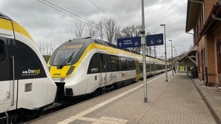 Die Elztalbahn am Bahnhof in Elzach.