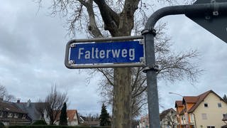 An einem Straßenpfahl hängt ein Straßenschild. Das Schild ist blau, mit weißer Schrift ist darauf "Falterweg" zu lesen. Im Hintergrund ist eine Straße in einer Wohngegend mit Einfamilienhäusern zu sehen.