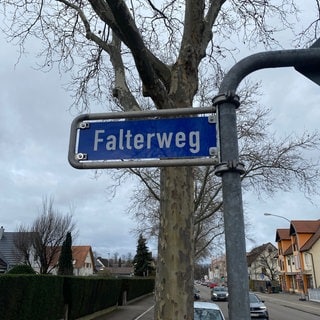 An einem Straßenpfahl hängt ein Straßenschild. Das Schild ist blau, mit weißer Schrift ist darauf "Falterweg" zu lesen. Im Hintergrund ist eine Straße in einer Wohngegend mit Einfamilienhäusern zu sehen.