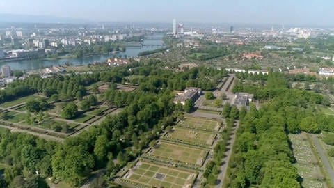 Die 60 Rehe auf dem größten Friedhof in der Schweiz "Hörnli" sollen umgesiedelt werden.