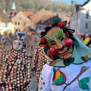 Diesen freundlichen Hästräger hat Petra Jehle auf dem Freiburger Münsterplatz entdeckt