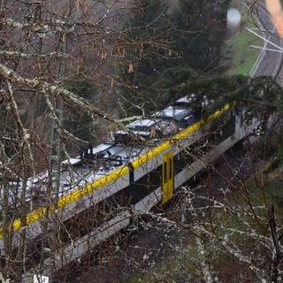 Ein Regionalzug war bei Friedenweiler gegen einen auf die Gleise gefallenen Baum gefahren. Durch die Kollision fing der Baum in der Oberleitung Feuer.