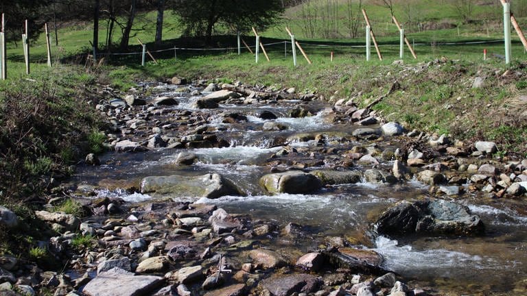 In einem Tal wurde ein neues Rückhaltebecken erbaut. Es ist in die Landschaft eingebunden. Auf beiden Seiten verläuft ein Bach.