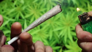 Cannabis-Pläne der Bundesregierung lösen im Südwesten Sorgen aus.