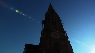 Freiburger Münster