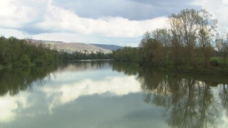 Am Rhein bei Albbruck gibt es Pläne für den Bau ein großes Wasserstoffkraftwerks.