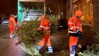 Drei Männer sind mit einem Müllwagen unterwegs, werfen Bäume in die Presse des Fahrzeugs und laden die Bäume am Ende auf einem Haufen ab.