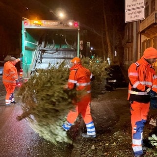 Drei Männer sind mit einem Müllwagen unterwegs, werfen Bäume in die Presse des Fahrzeugs und laden die Bäume am Ende auf einem Haufen ab.